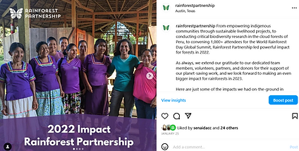 Rainforest Partnership social media graphic with group of Kichwa women smiling to the camera and text 2022 Rainforest Partnership Impact and other content to the side