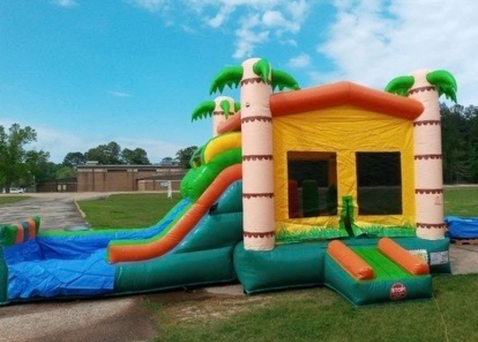 Tropical Combo Bounce House with Slide