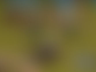 Ps Vita Game Mods Free Mp4 Free Watch Online