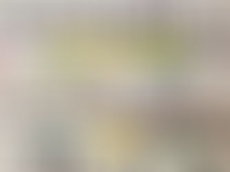 第13回ミニミニ発表会