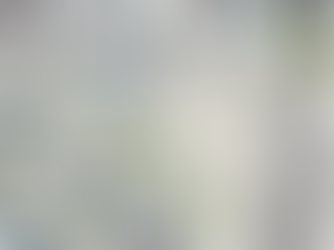 Property Herald: Birds of a Feather - Developers Drawn to Tampines Street 94 Mixed-Use Site