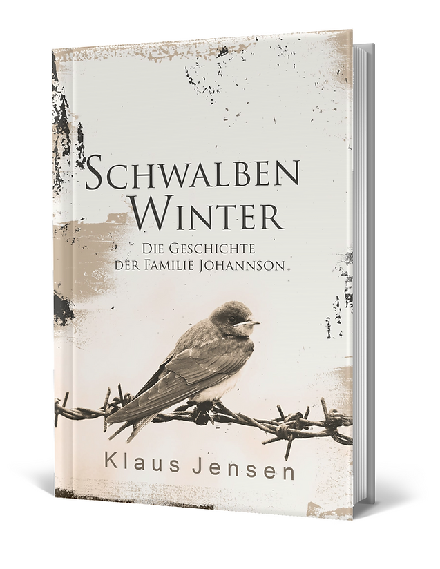Schwalbenwinter Buch - Cover eines historischen Romans aus Hamburg