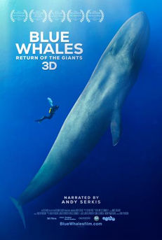Blue Whales - Music Editor