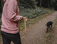 Die Hundemarke Hundeschule Mölln Aufgenommene Momente