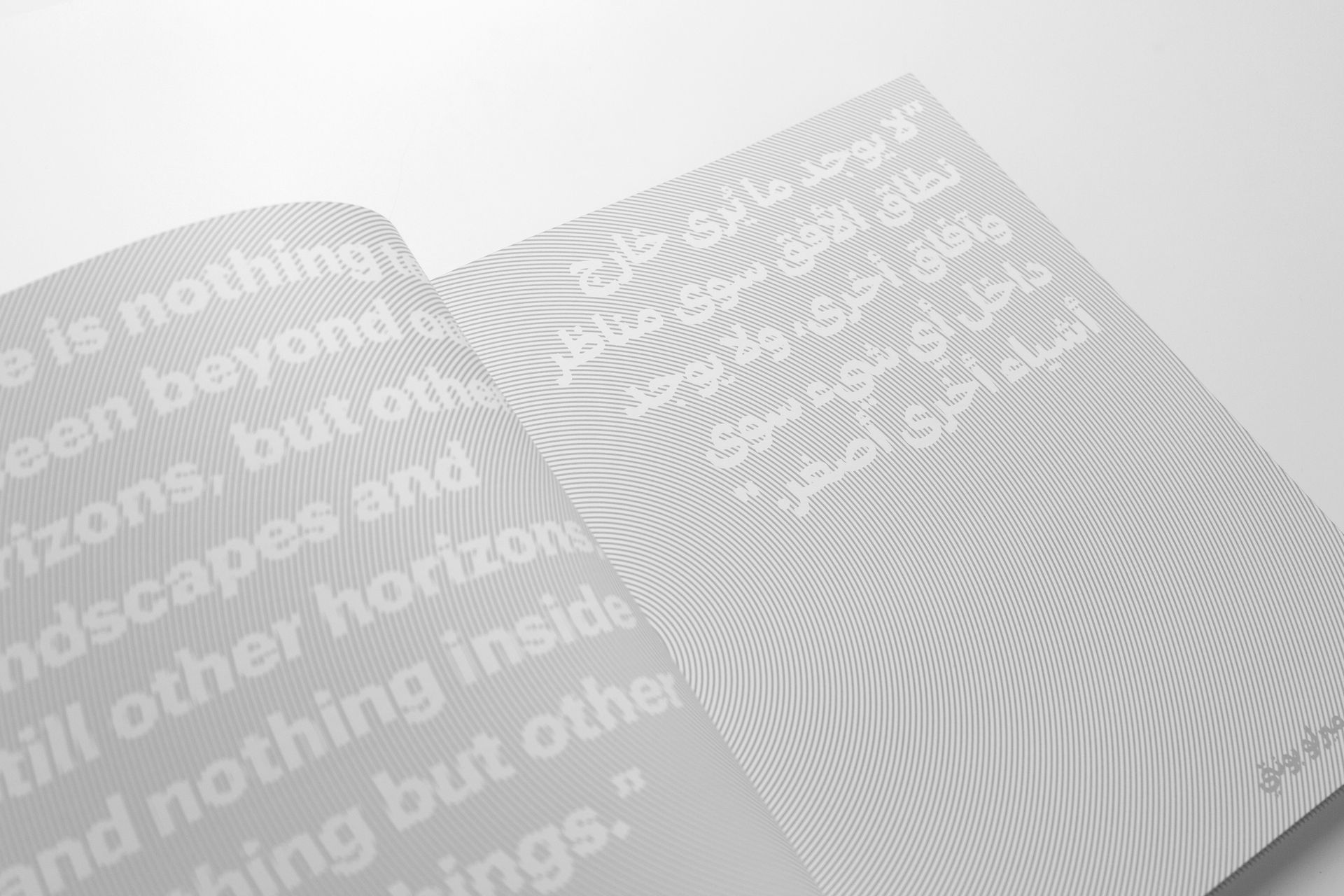 Selected spreads from Seeing & Perceiving book