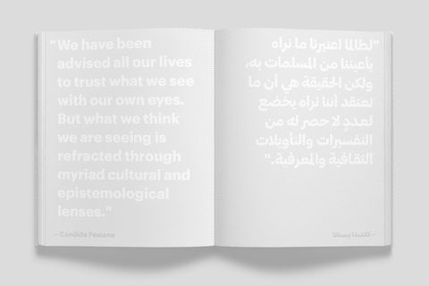 Selected spreads from Seeing & Perceiving book
