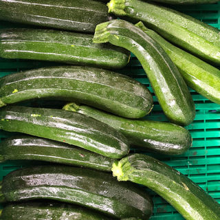 Siebner Fyrobig Märt:
Bio-Zucchetti vom Bio-Landwirtschaftsbetrieb Hornen, Benken