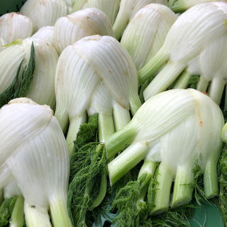 Siebner Fyrobig Märt:
Bio-Fenchel vom Bio-Landwirtschaftsbetrieb Hornen, Benken
