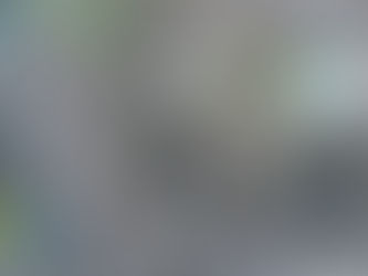 WEEK 1b - PROJECT PLANNING