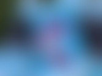 Sky Daddy (Book Review)