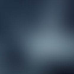                   The Longest Night of The Year