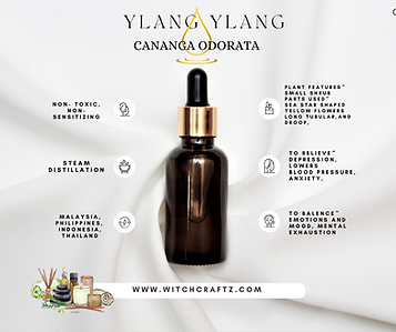ylang ylang meme.png