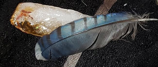 witchcraftz.com // A Blue Jay Feather lays diagonally crossing atop the bottom 1/3 of a Beautiful Freeform Citrine Crystal