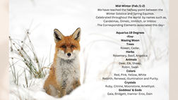             MIDWINTER'S CORRESPONDENCE'S