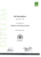 Diplom WiFi