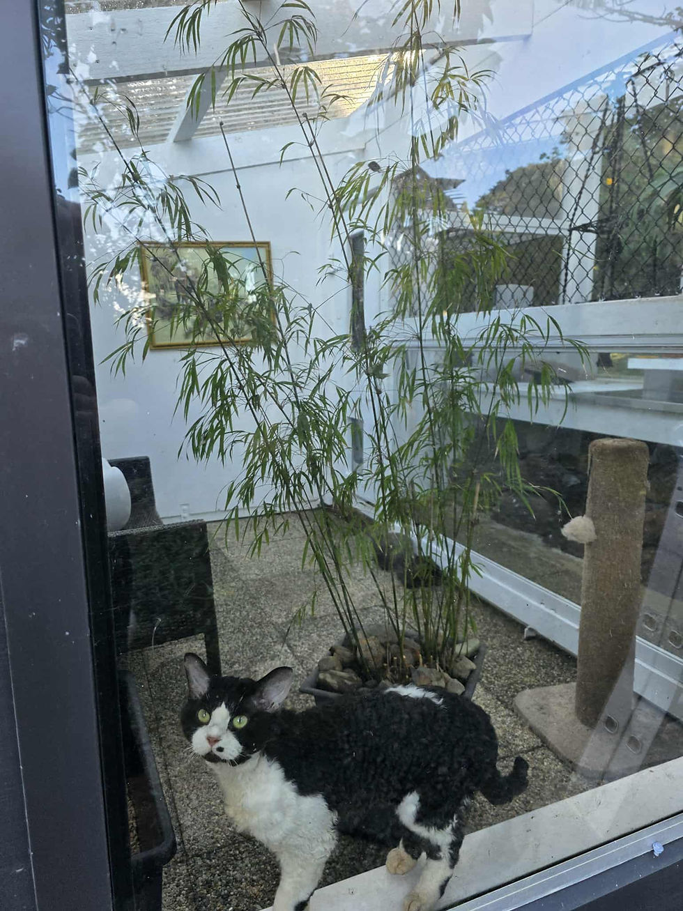 Stud houses fit for kings!