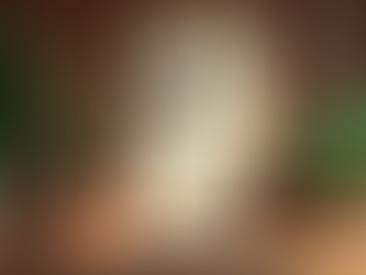 Discovering the Secrets of Chinese Philosophy