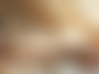 Unveiling Chinese Historical Wisdoms