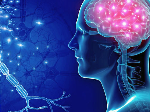 L'Inhibition du néocortex durant l'accouchement: clé d'une expérience naturelle