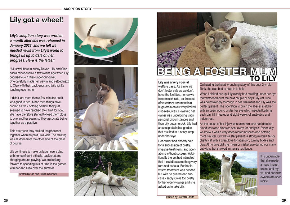 Lily Adoption Story_Page_2.jpg