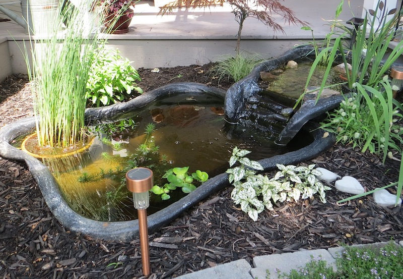 Lago para tartarugas