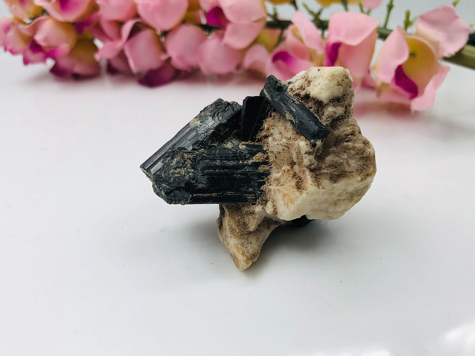 Natural Black Tourmaline Afghanistan Specimen Minerals Collection
