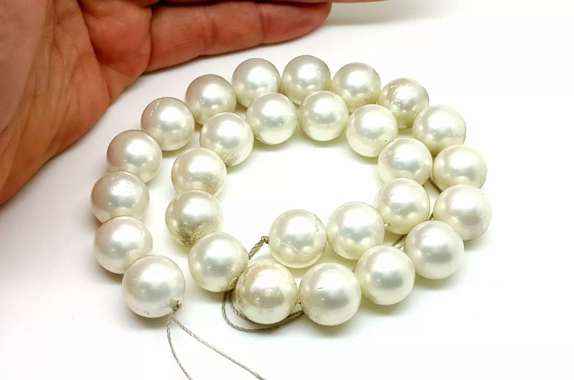 Natural Shell Beads Strands Length 15inch