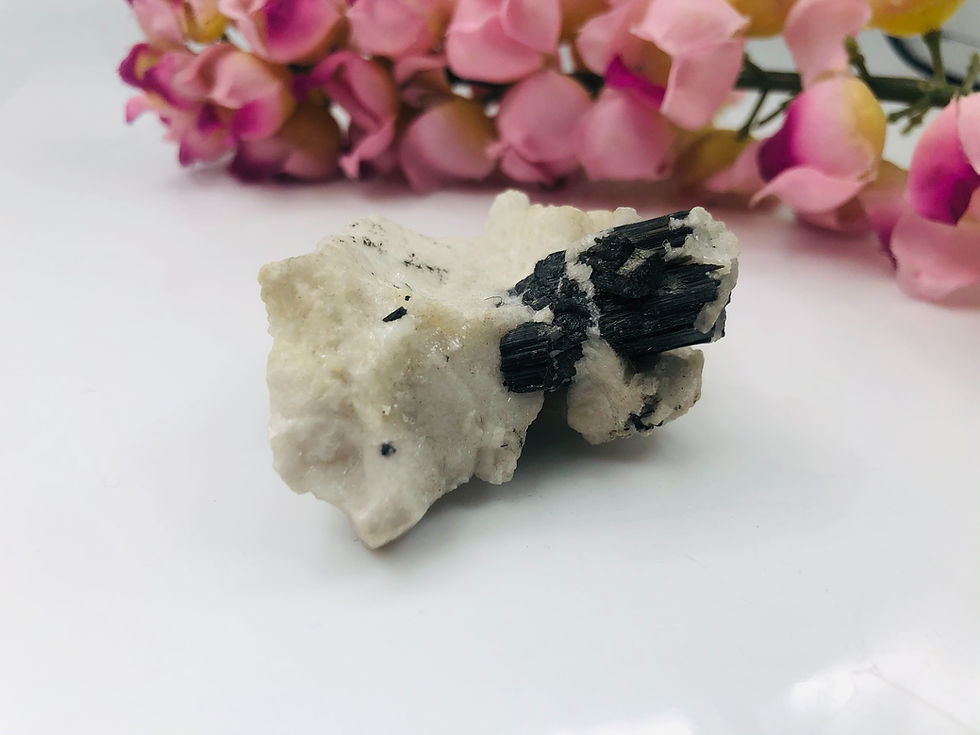 Natural Black Tourmaline From Afghanistan Specimen Minerals Collection