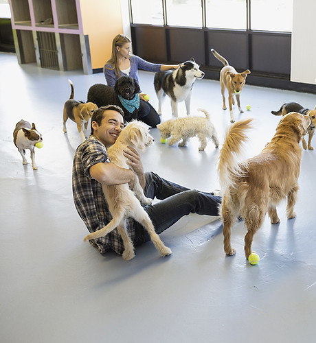 Kennels