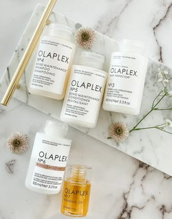 olaplex products - Google Search