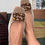 Miniatura: Ballerine velluto beige Luxury pezzi unici
