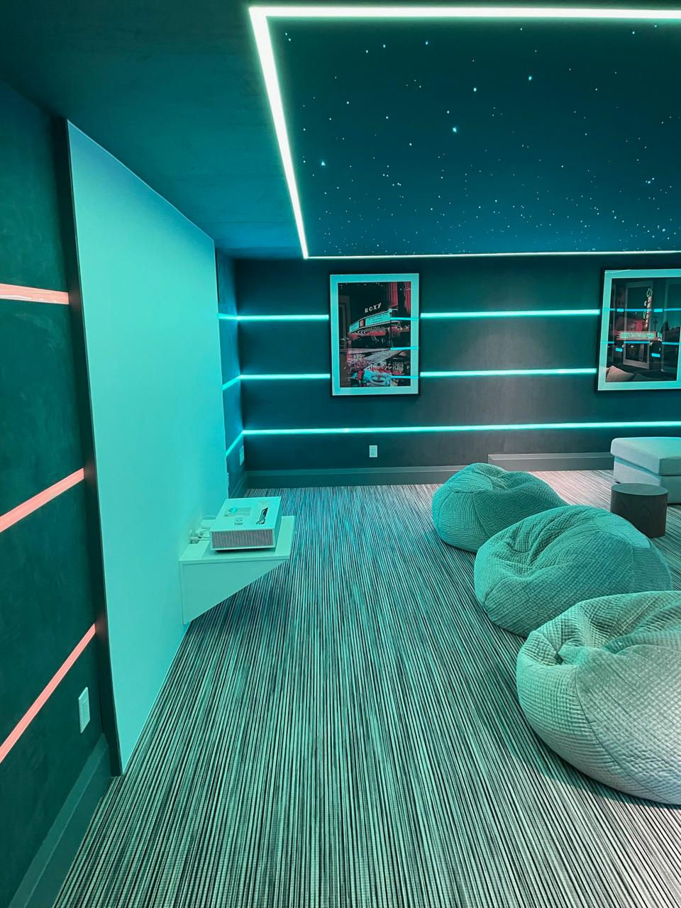 Home Theatre Media Room