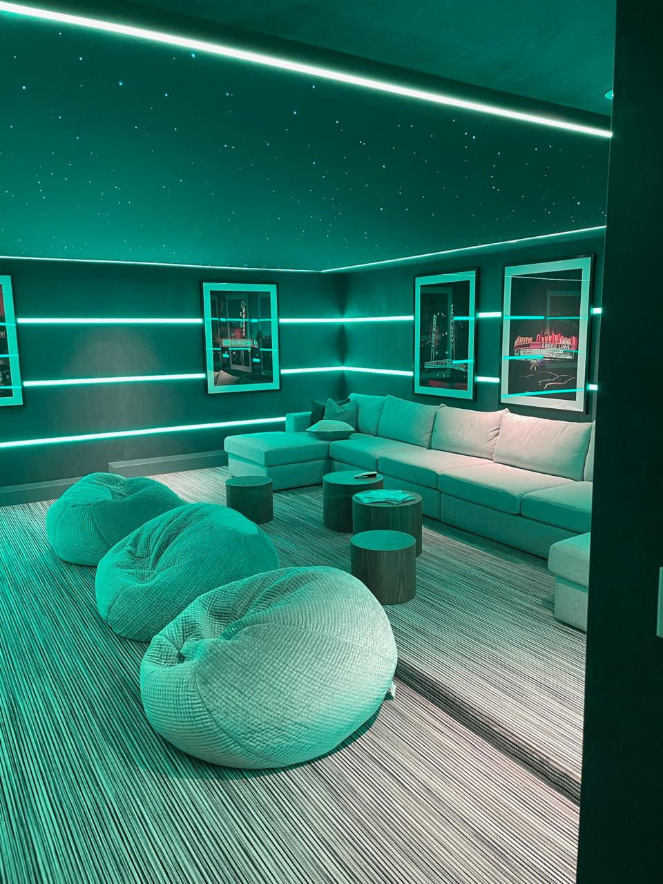 Home Theatre Media Room 1
