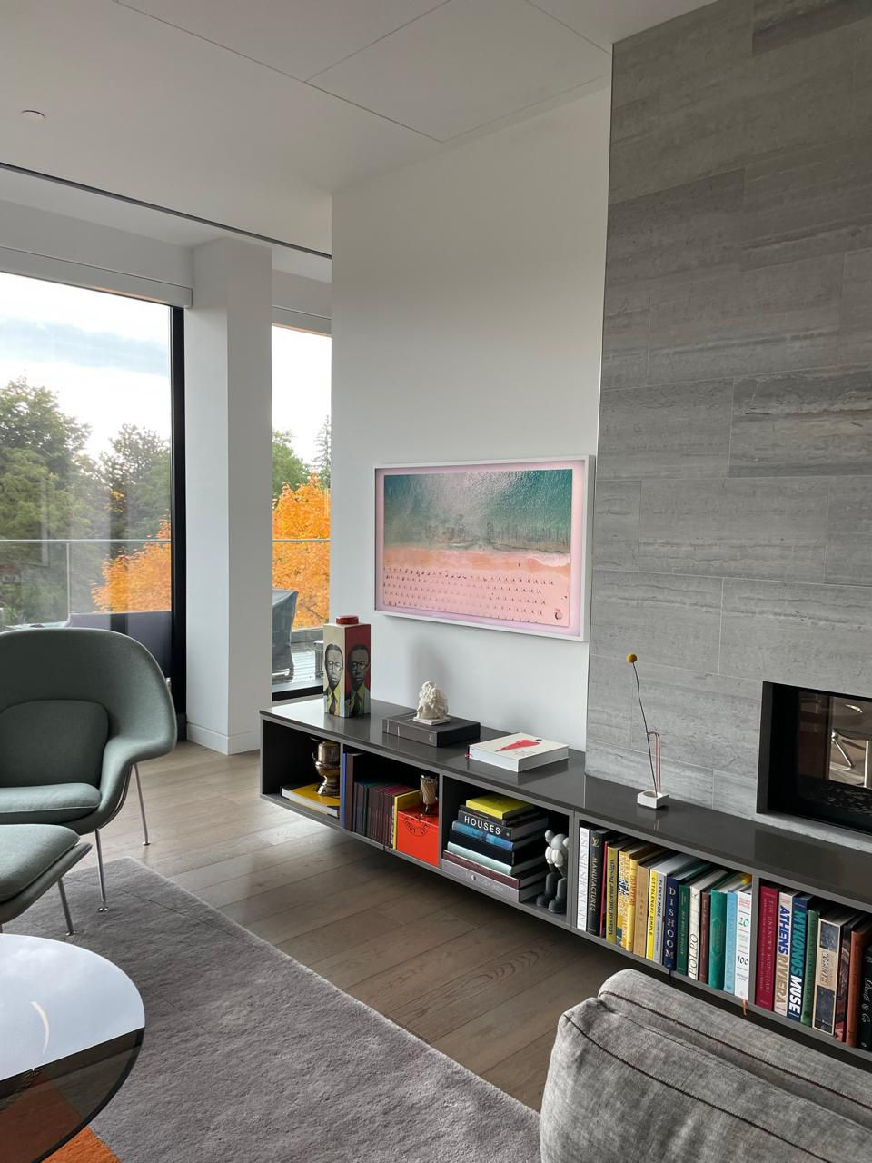 TV Install Toronto 9