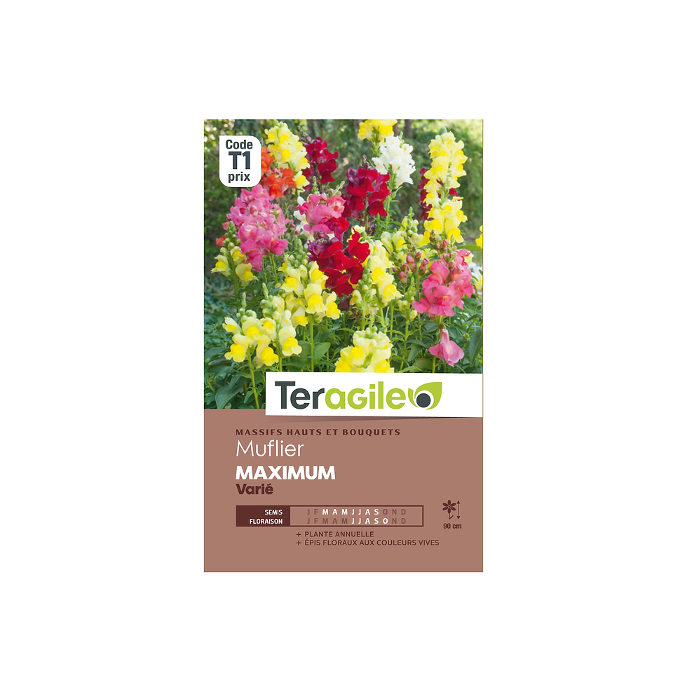 GRAINES MUFLIER MAXIMUM VARIÉ 0.8G TERAGILE®