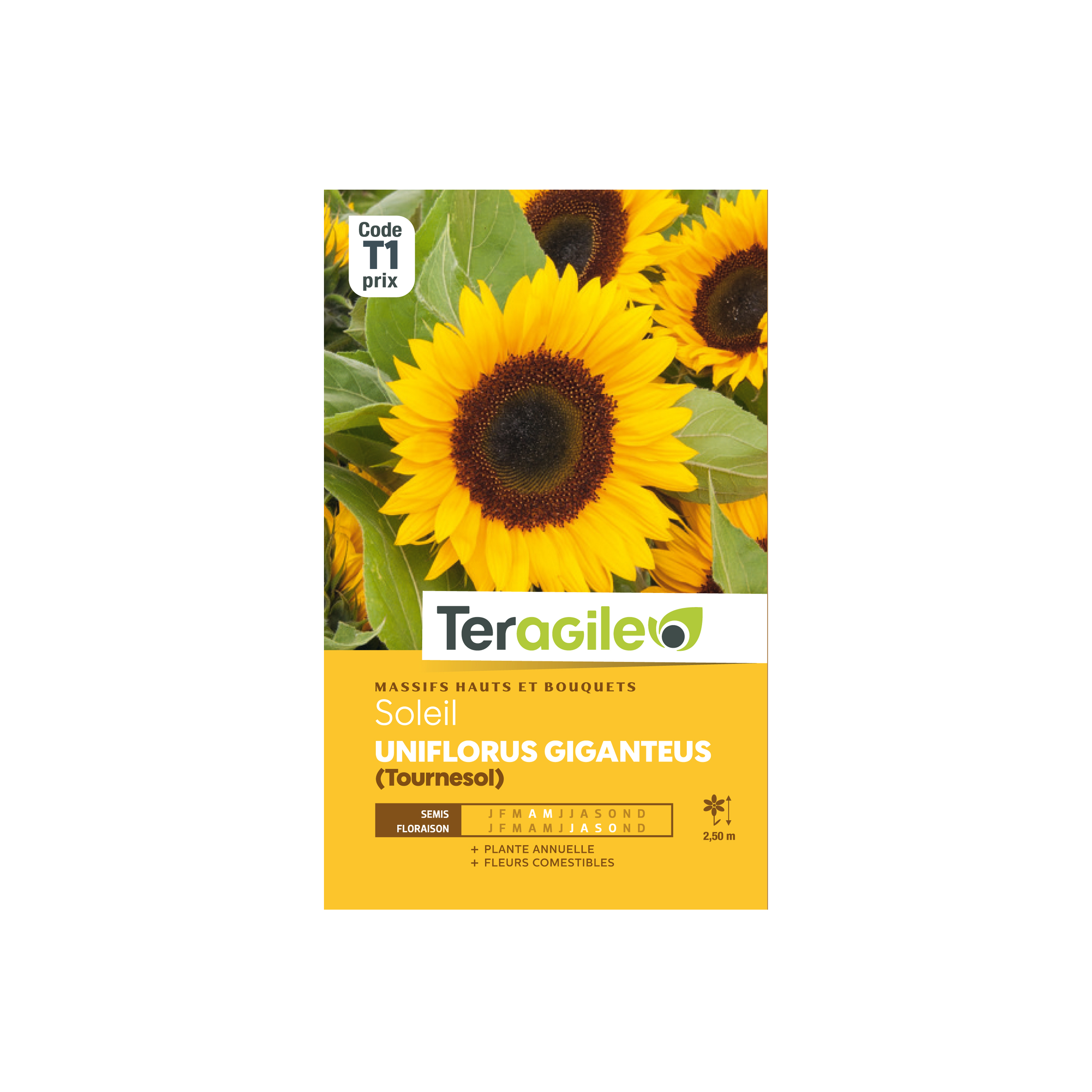 GRAINES SOLEIL TOURNESOL UNIFLORUS GIGANTEUS 4G TERAGILE®