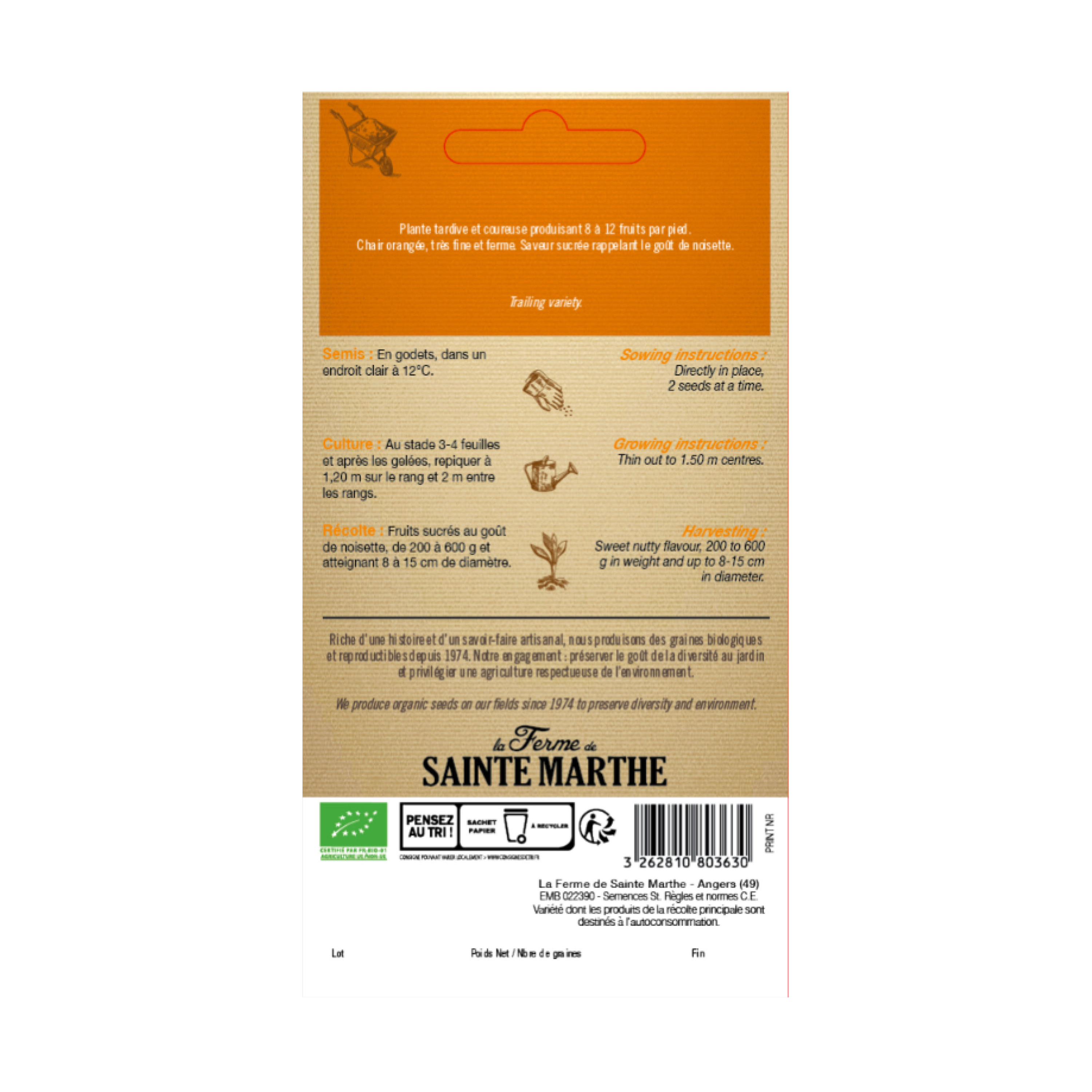 GRAINES COURGE SWEET DUMPLING BIO