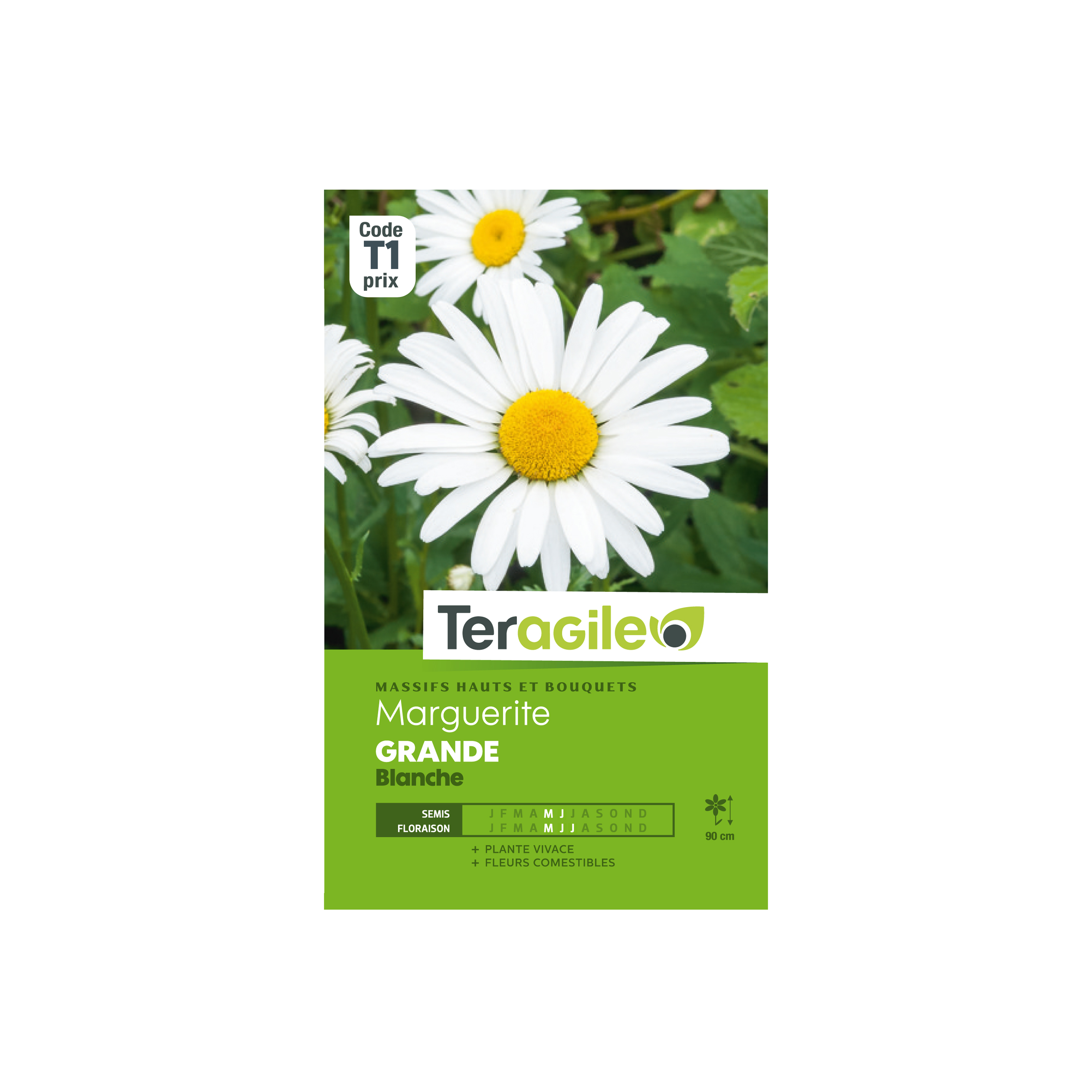 GRAINES MARGUERITE GRANDE BLANCHE 1G TERAGILE®