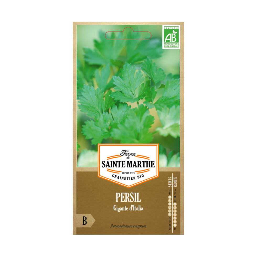 GRAINES PERSIL GIGANTE D'ITALIA BIO