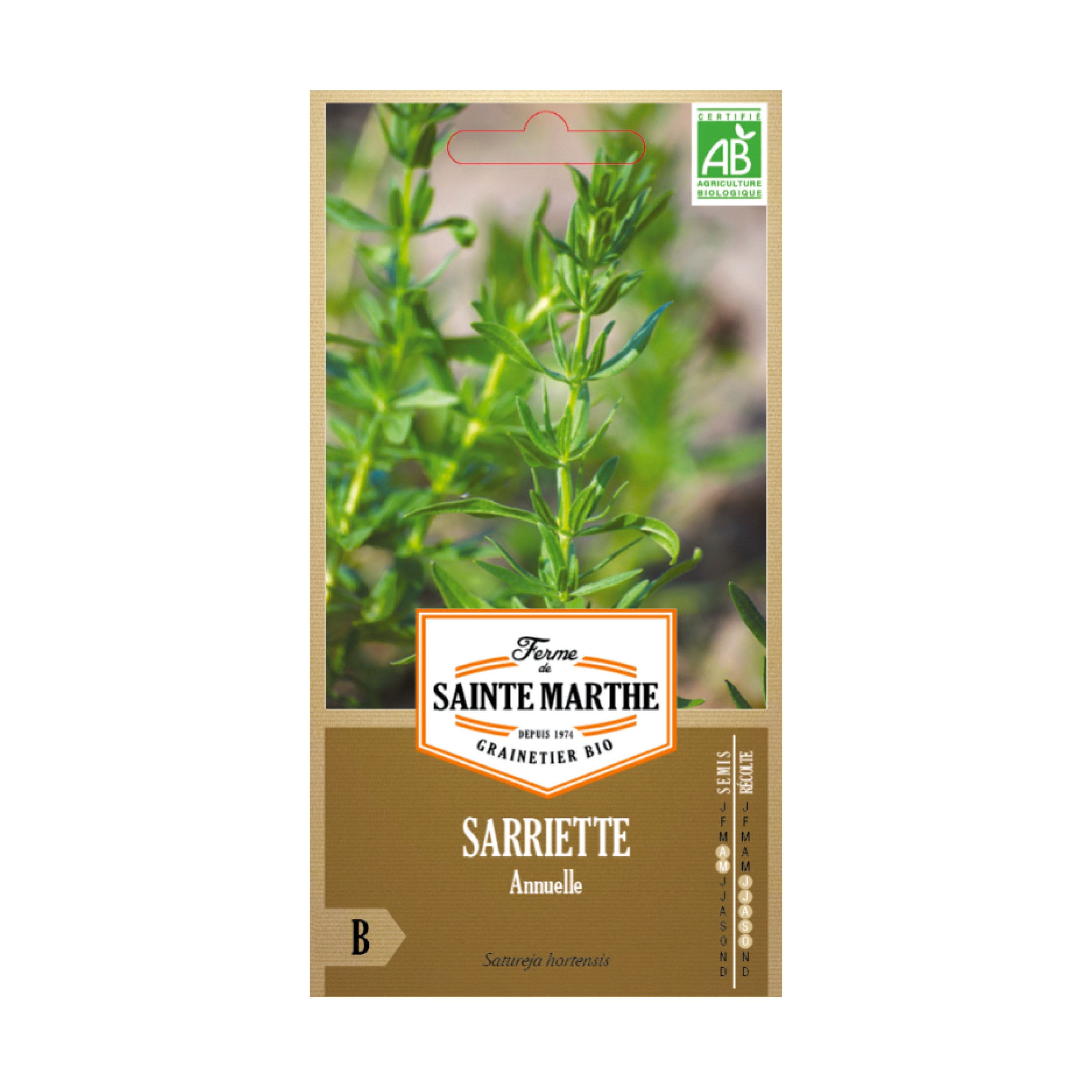 GRAINES SARRIETTE ANNUELLE BIO