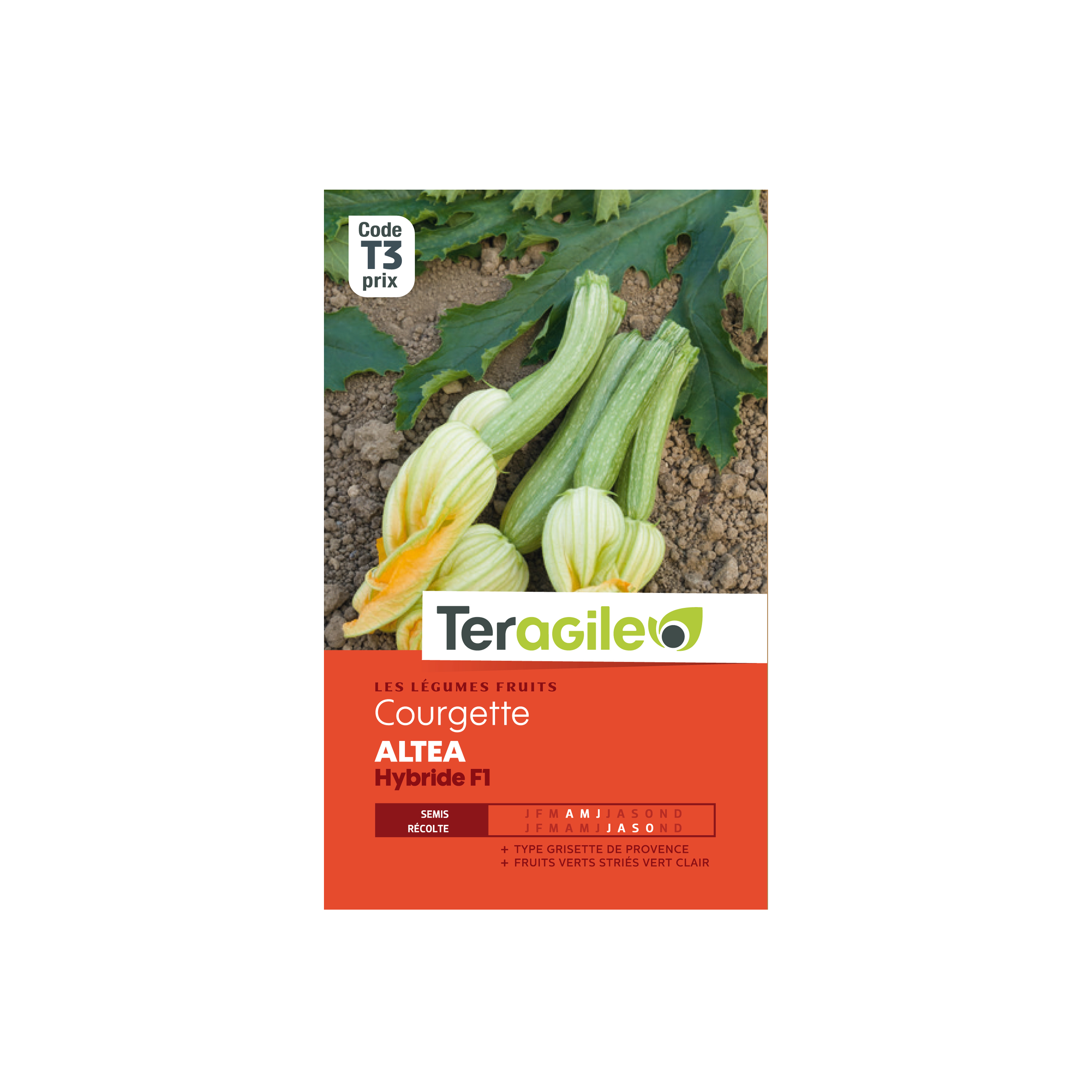 GRAINES COURGETTE ALTEA HYBRIDE F1 4G TERAGILE®