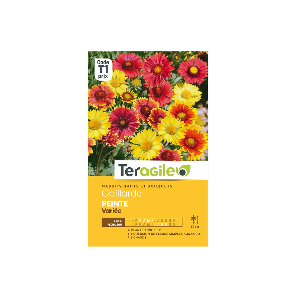 GRAINES GAILLARDE PEINTE VARIÉE 1.5G TERAGILE®