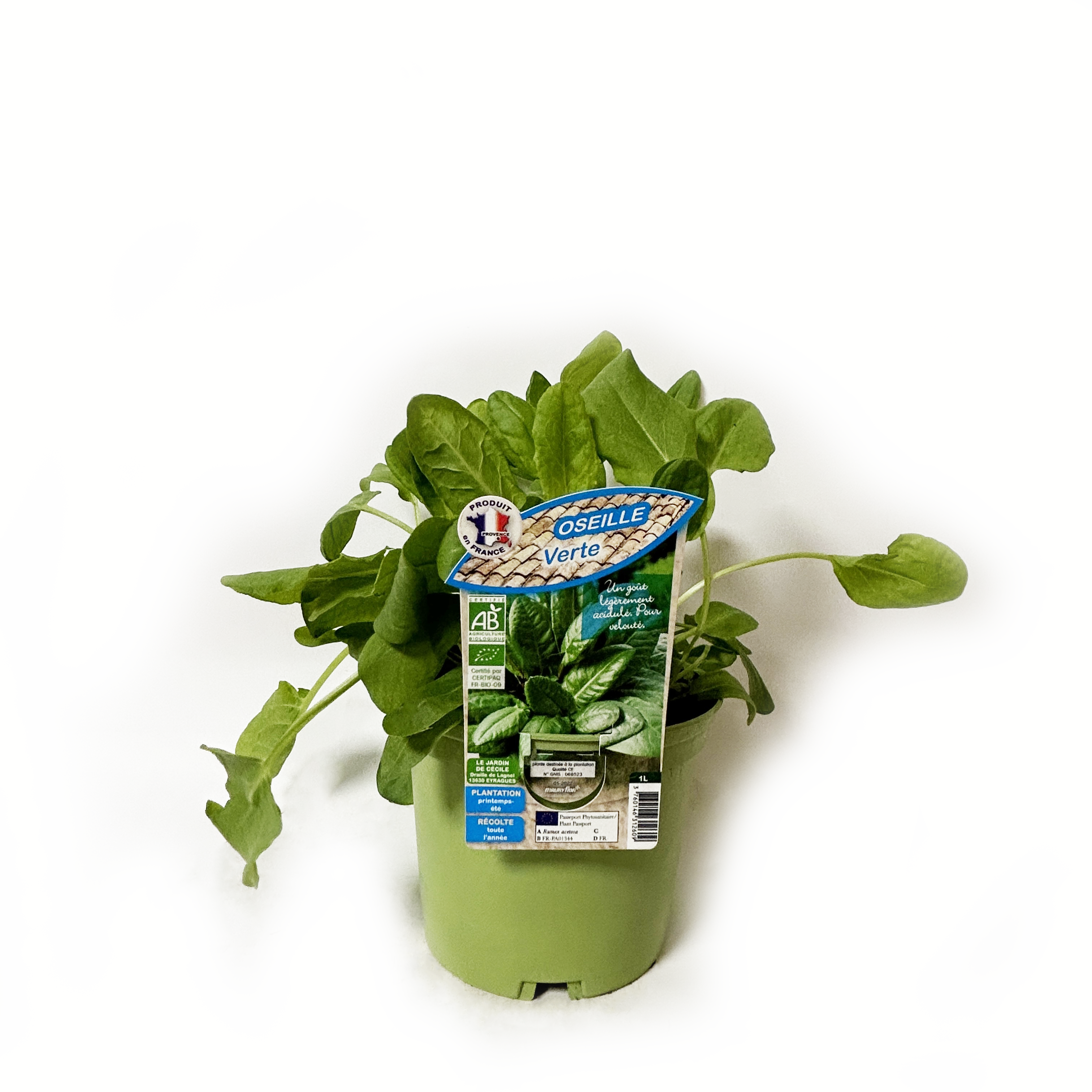 OSEILLE VERTE BIO - POT DE 1L