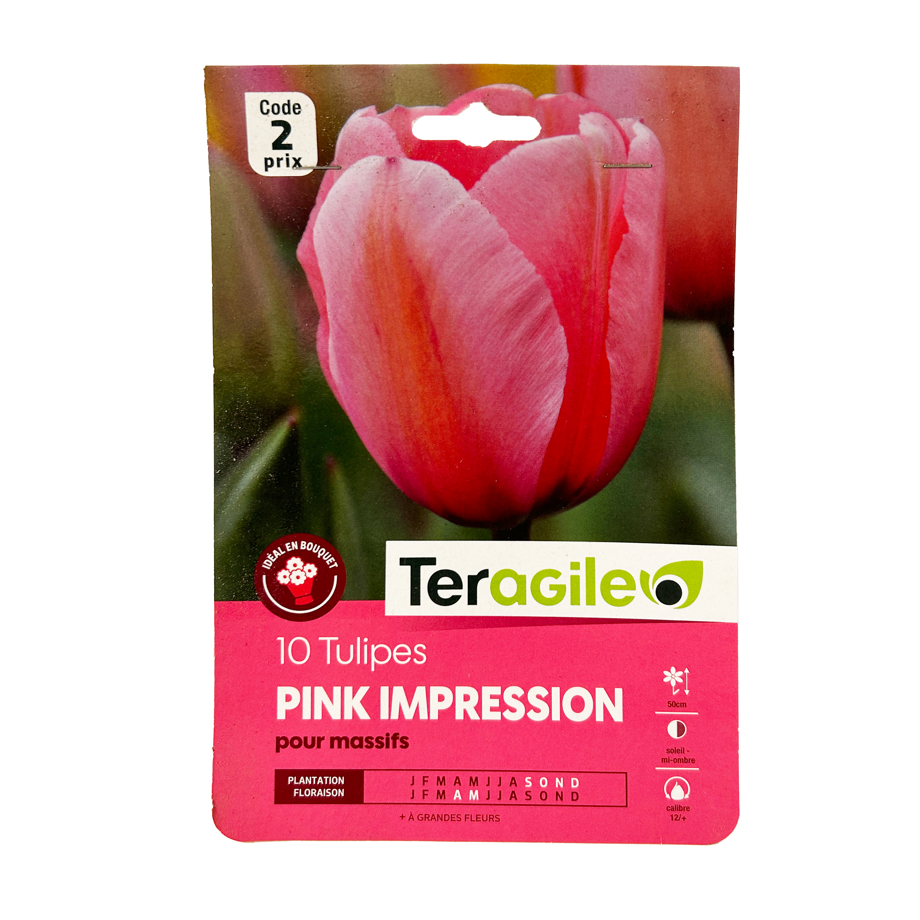 BULBES DE TULIPES PINK IMRESSION - TERAGILE® - X10