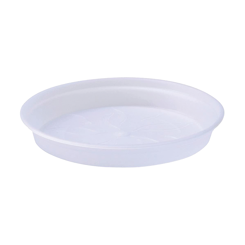 SOUCOUPE POT ORCHIDÉE Ø14CM TRANSPARENT ELHO® GREEN BASICS