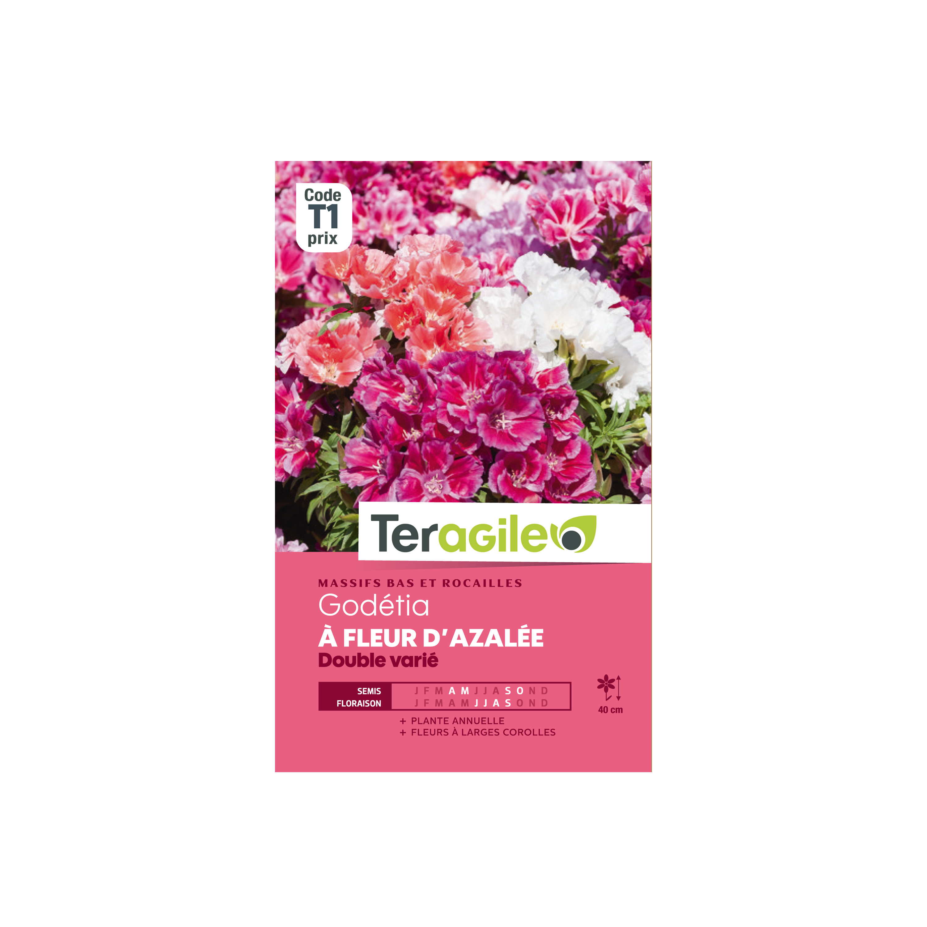 GRAINES GODÉTIA À FLEUR D'AZALÉE DOUBLE VARIÉ 1G TERAGILE®