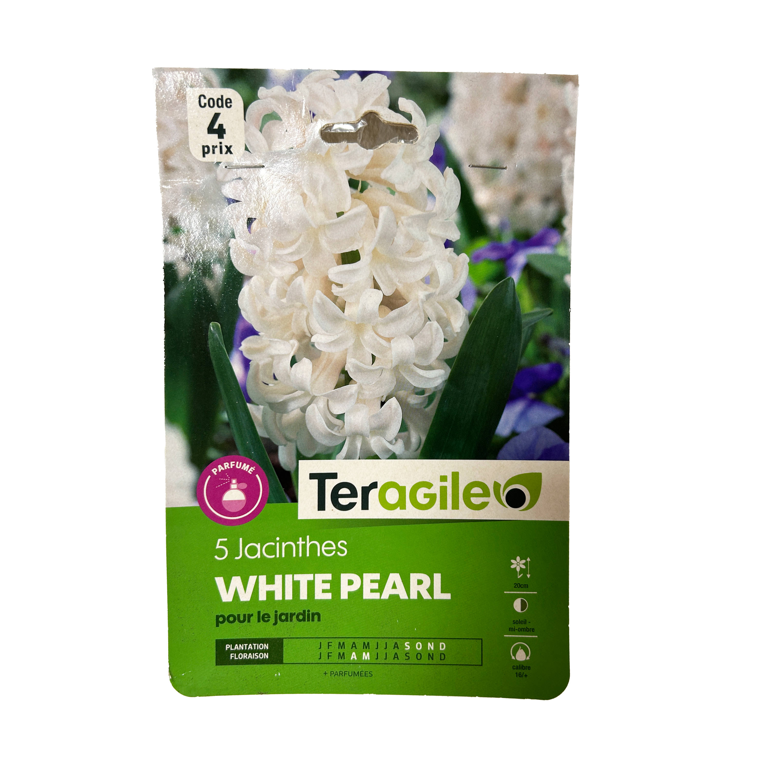 BULBES DE JACINTHES WHITE PEARL - TERAGILE® - X5