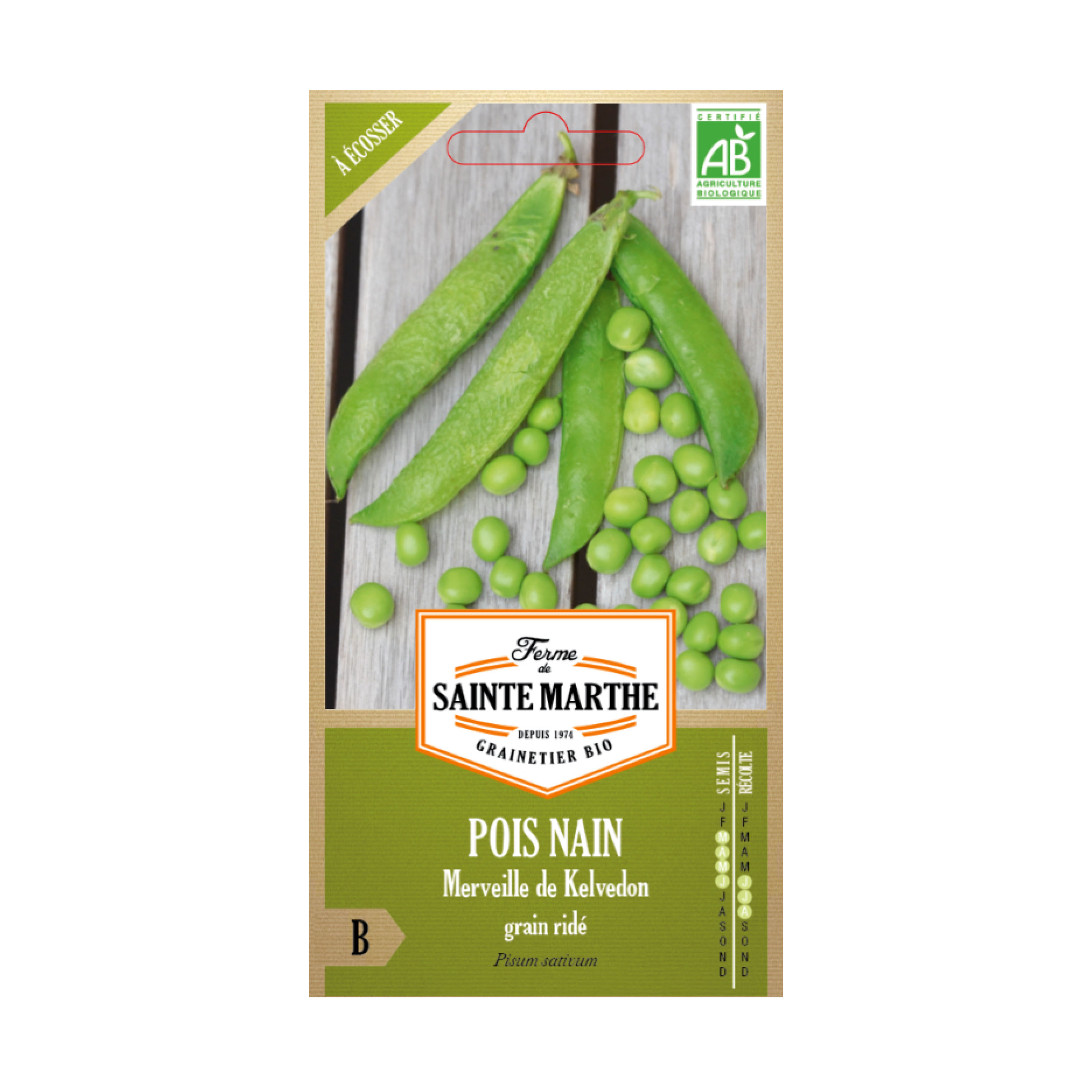 GRAINES POIS NAIN MERVEILLE DE KELVEDON À GRAIN RIDE A ECOSSER BIO - 10G