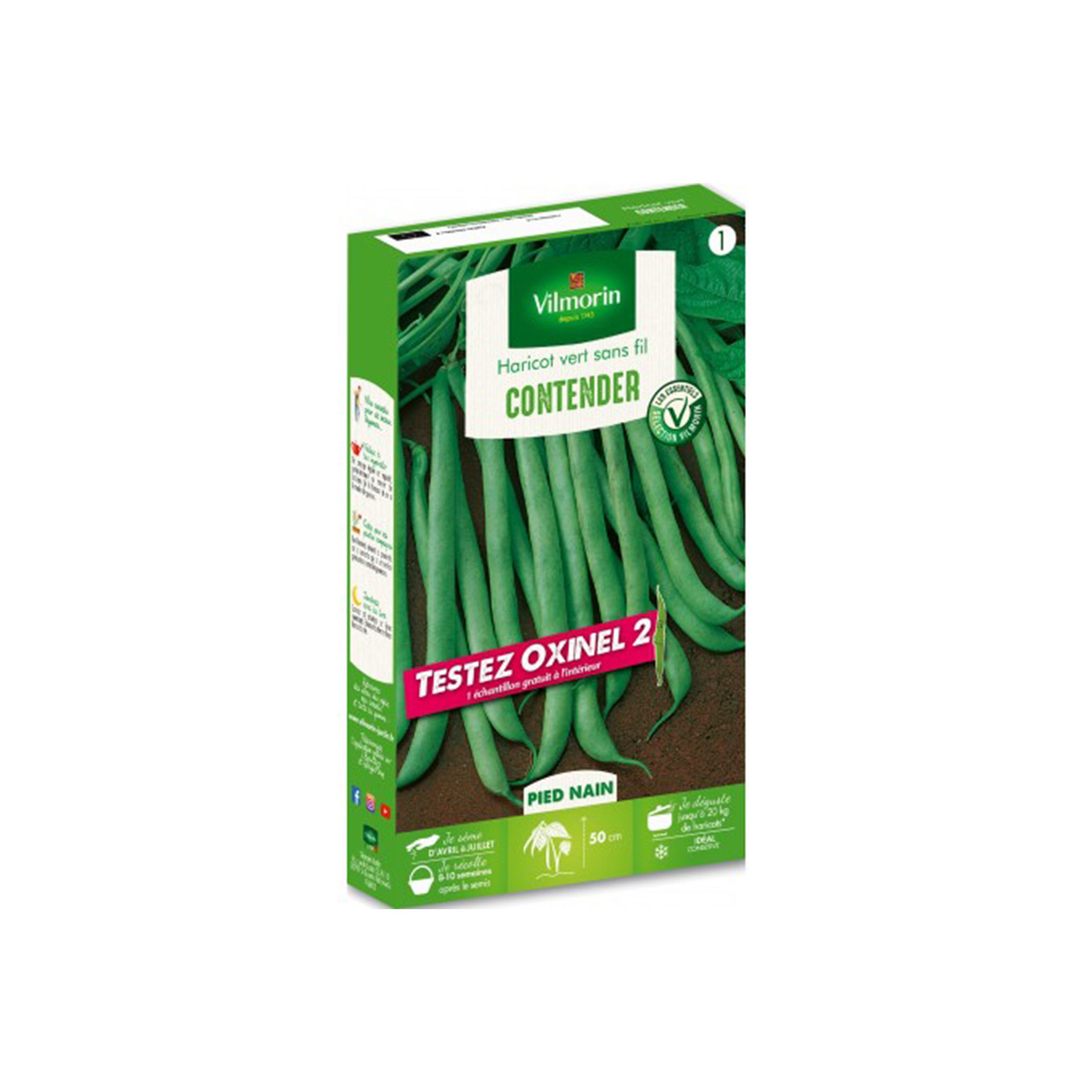 GRAINES HARICOT CONTENDER VILMORIN®