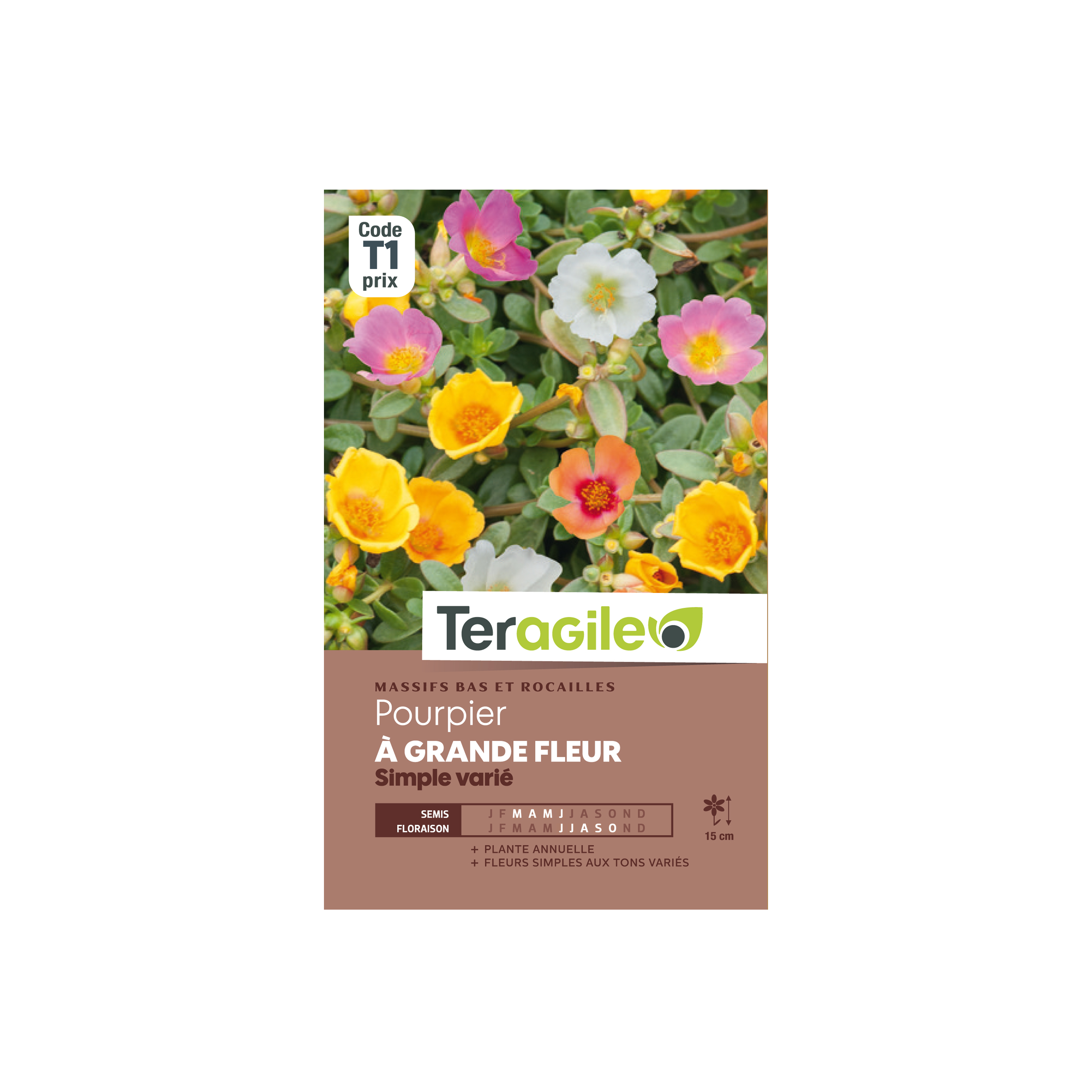GRAINES POURPIER À GRANDE FLEUR SIMPLE VARIÉ 0.7G TERAGILE®